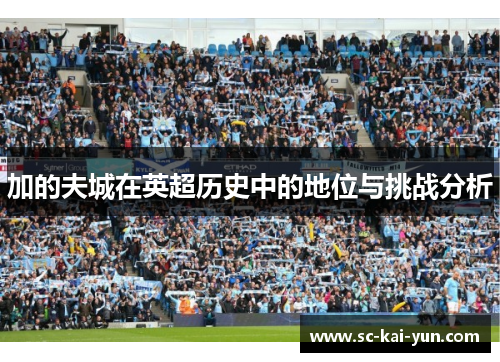 加的夫城在英超历史中的地位与挑战分析 加的夫城在英超历史中的地位与挑战分析