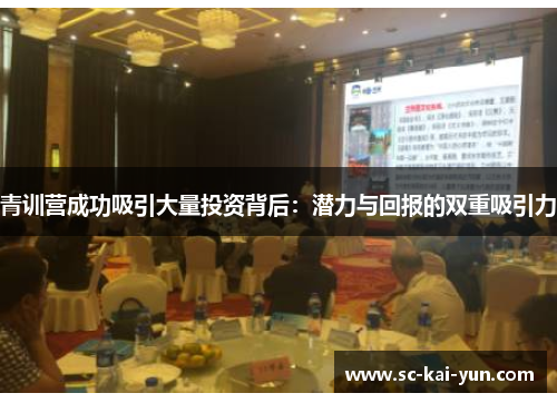 青训营成功吸引大量投资背后：潜力与回报的双重吸引力