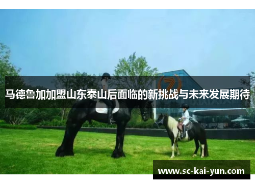 马德鲁加加盟山东泰山后面临的新挑战与未来发展期待