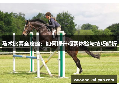 马术比赛全攻略：如何提升观赛体验与技巧解析